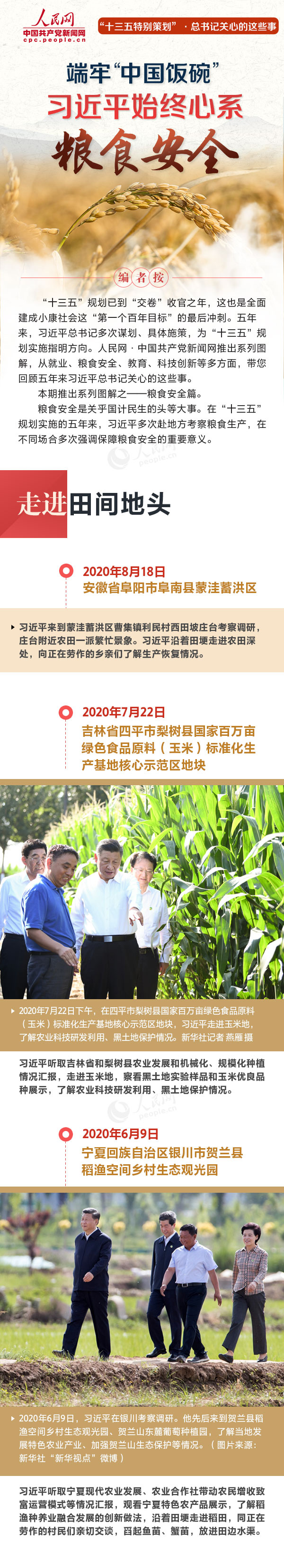 端牢“中国饭碗” 习近平始终心系粮食安全.jpg