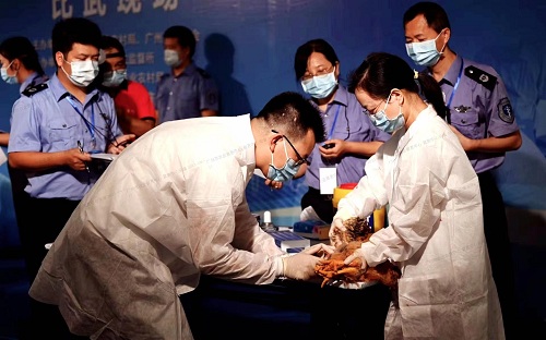 防疫大赛538.jpg