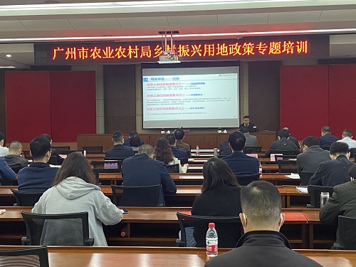 现场图片.jpg