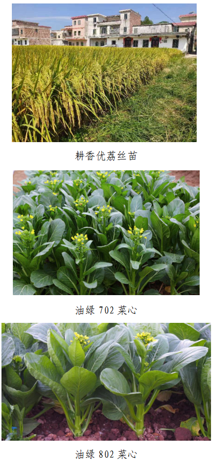 微信截图_20230315091551.png