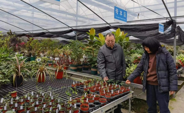 微信截图_20240129090819.png