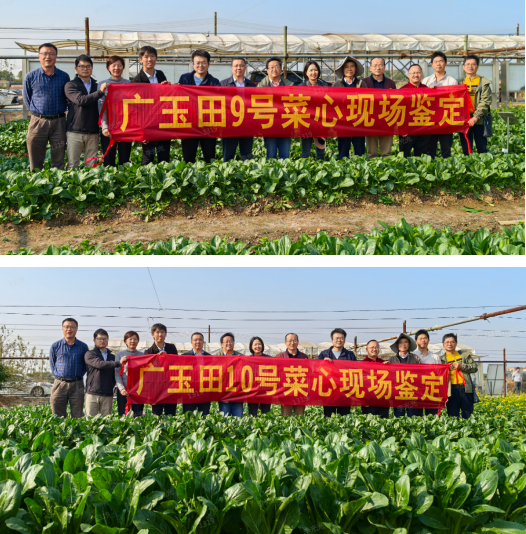 QQ截图20241231112109.png
